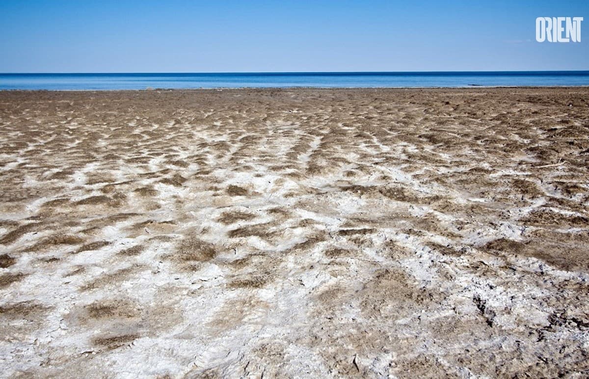 Not enough funds to save the Aral Sea,  business should be attracted - expert