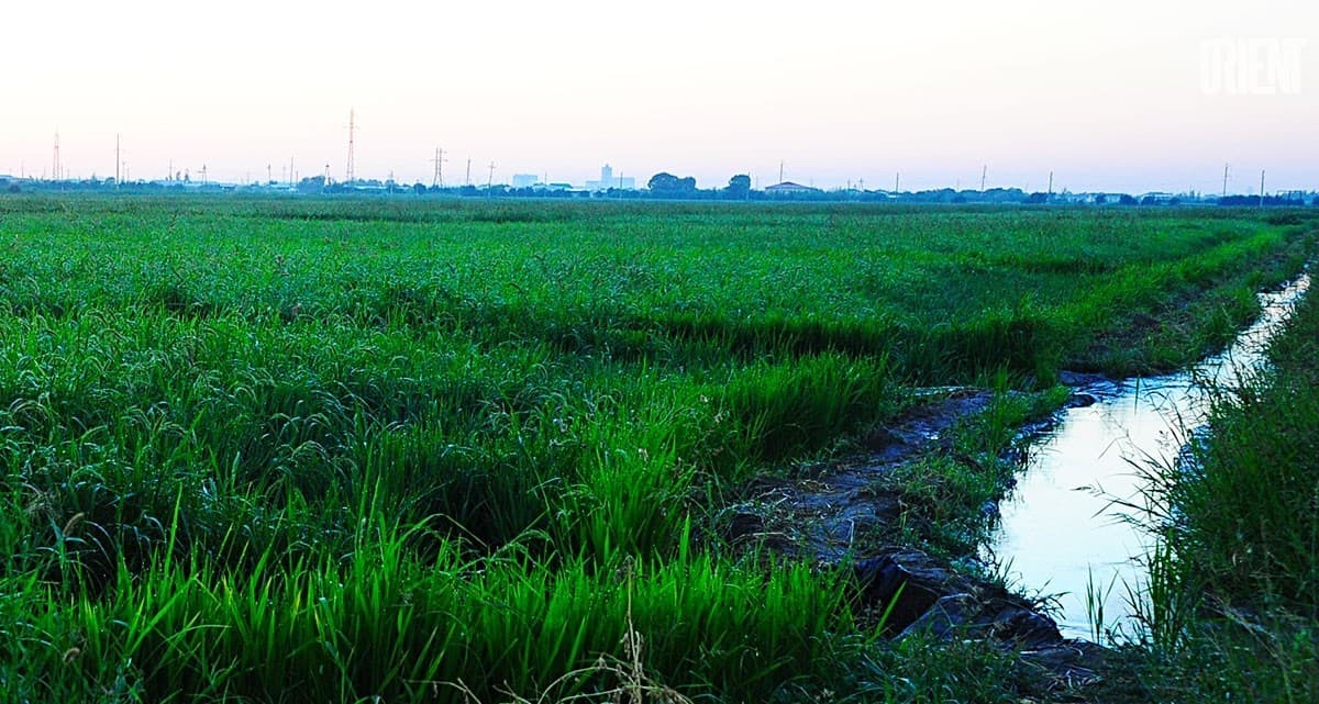 Central Asian countries approved water use limits for spring and autumn