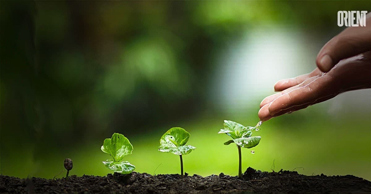 UNESCO seeks nominations for the Avicenna Prize for the advancement of ethics of environment