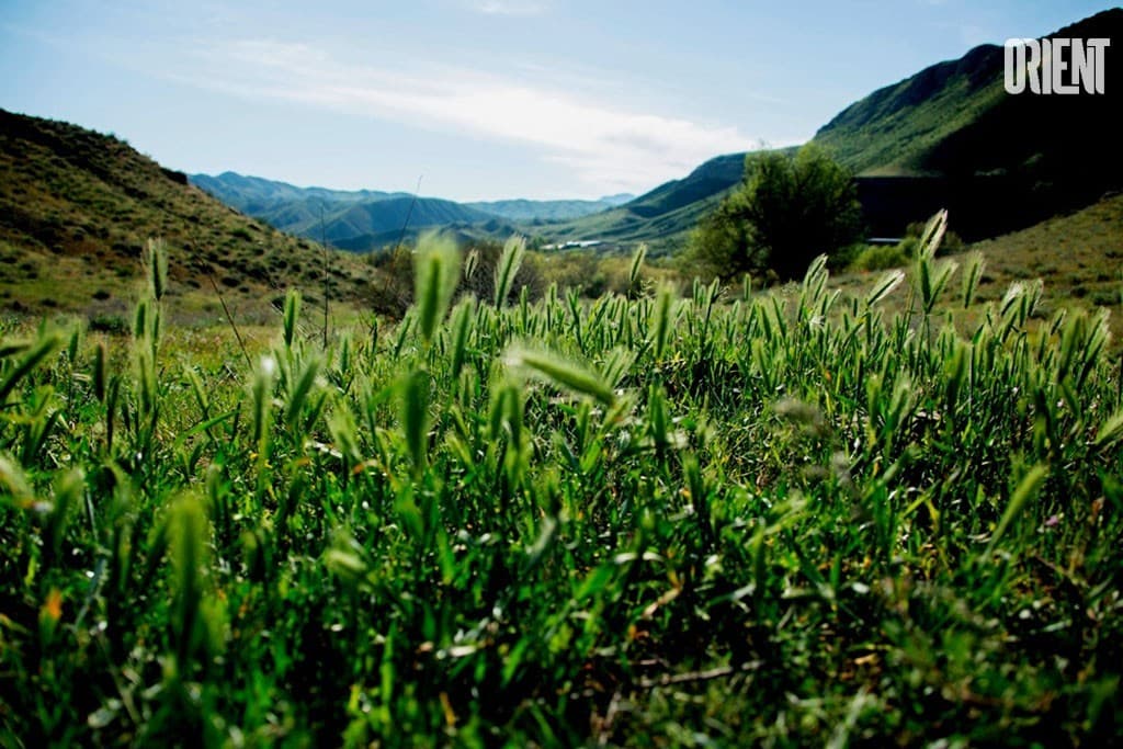 Turkmenistan has reduced harmful emissions into the air by another 5.1%