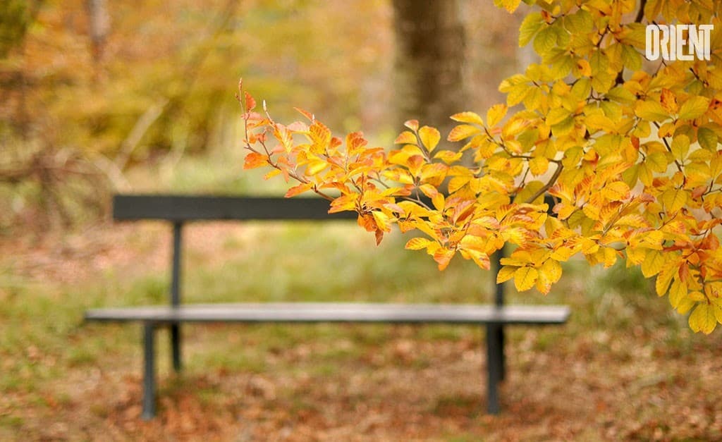 Once in autumn …