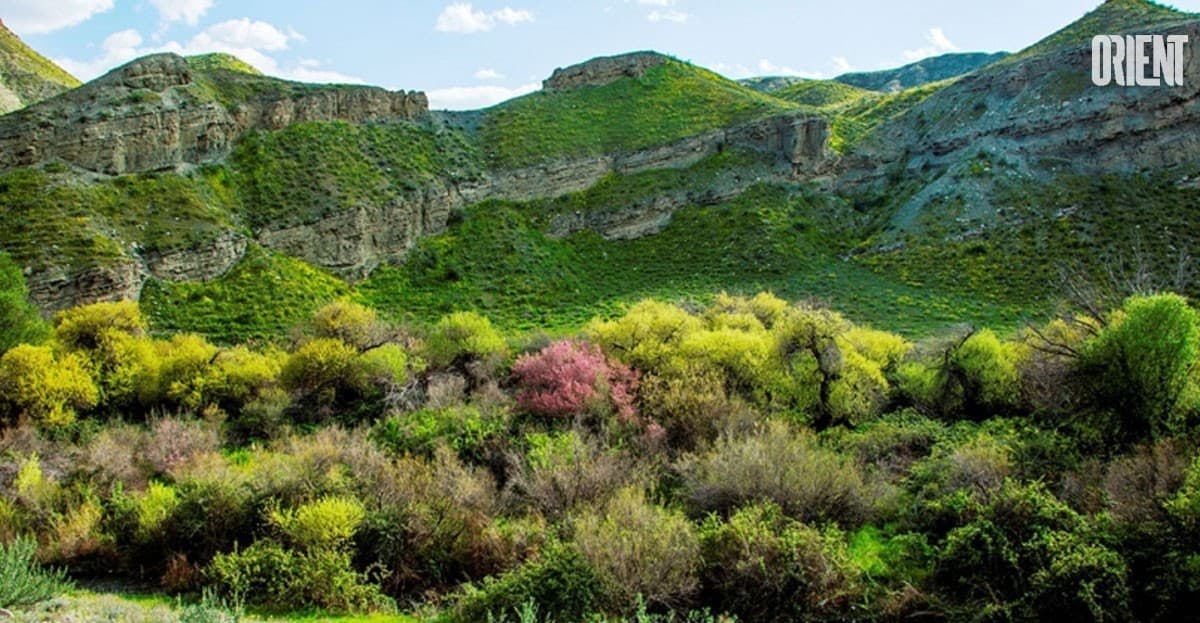 nature-conservation-society-of-turkmenistan-launched-plastic-collection