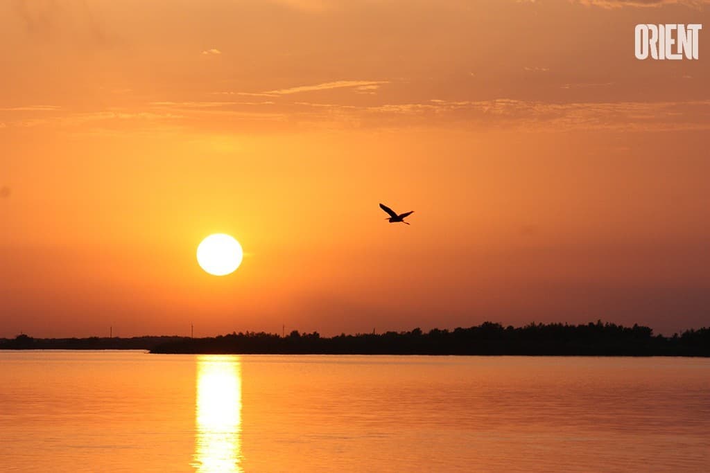 osce-invites-water-specialists-from-central-asia-to-tashkent