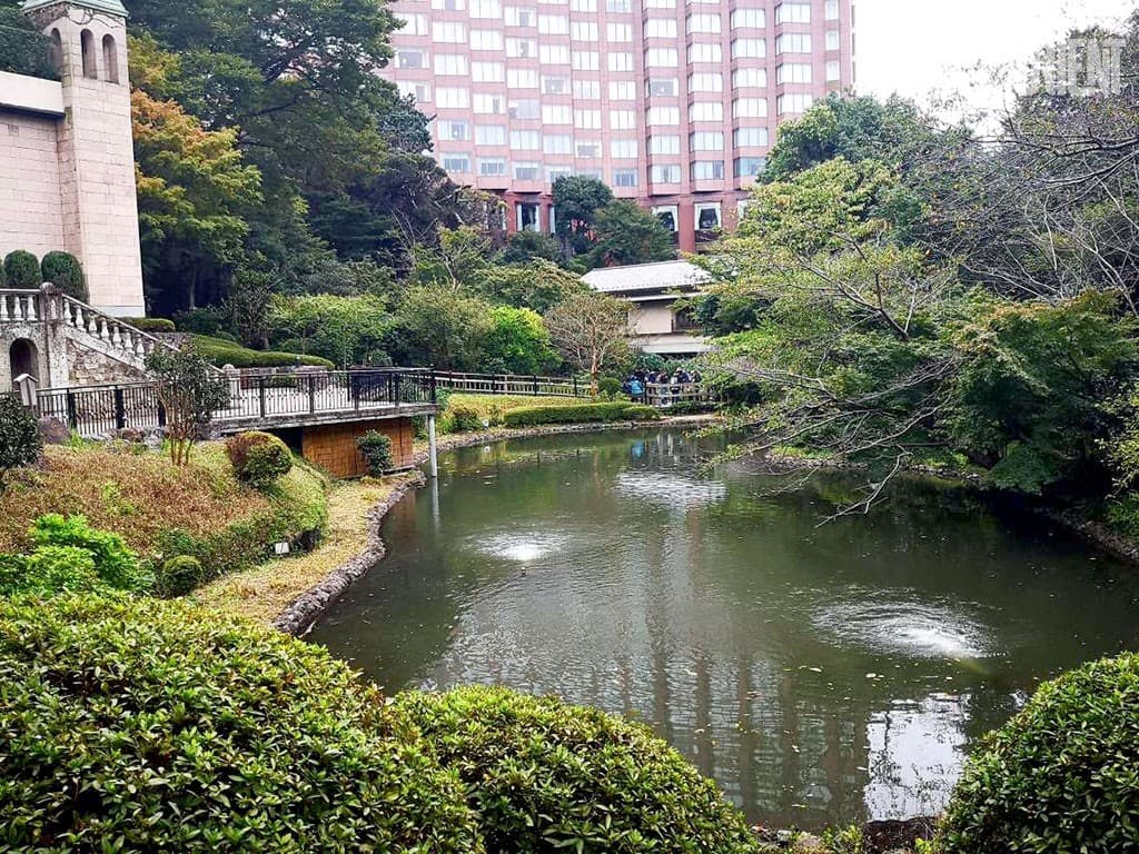 nature-in-the-city-natural-beauty-or-ecological-necessity