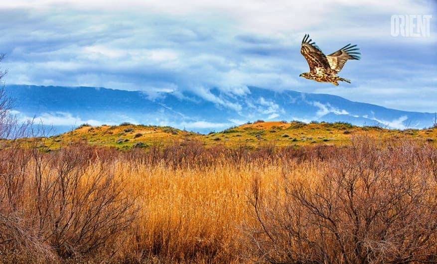 climate-challenges-for-central-asia-answers-discussed-in-ashgabat