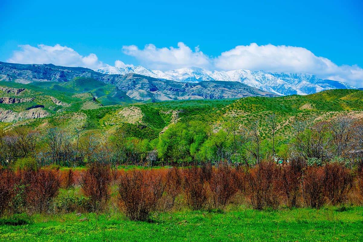 germany-to-launch-new-climate-initiative-for-central-asia-and-afghanistan