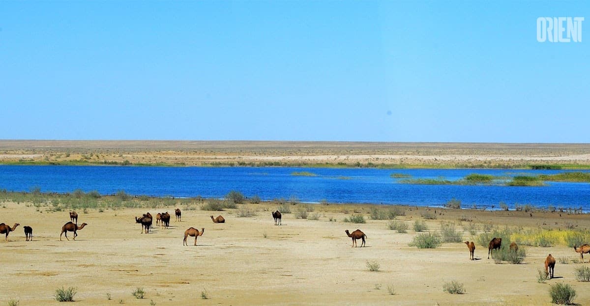 ashgabat-will-host-the-regional-water-conference