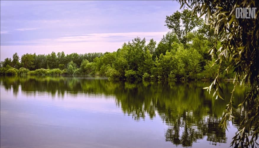 according-to-the-expert-the-aral-sea-can-be-saved-by-diverting-part-of-the-flow-of-siberian-rivers