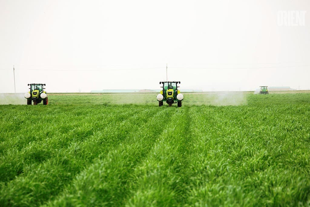 interview-at-the-edge-of-a-wheat-field-how-modern-farmers-live