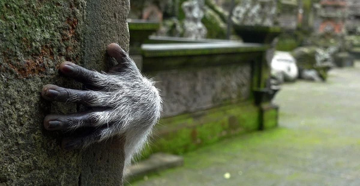 scientists-predict-a-new-economy-in-favor-of-nature