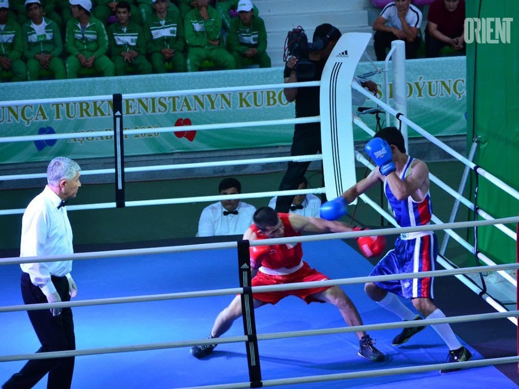 The Cup of Turkmenistan in boxing, or about importance of spectators in sports