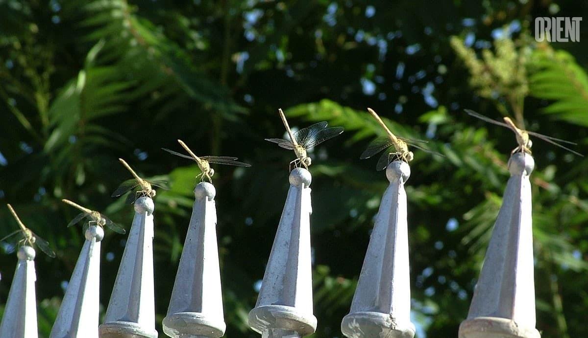 photo-contest-in-climate-in-central-asia-is-prolonged-till-august-1