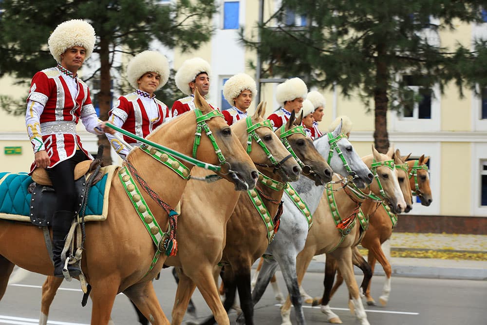 Passion for Akhal-Teke horses unites the European communities in a thematic webinar