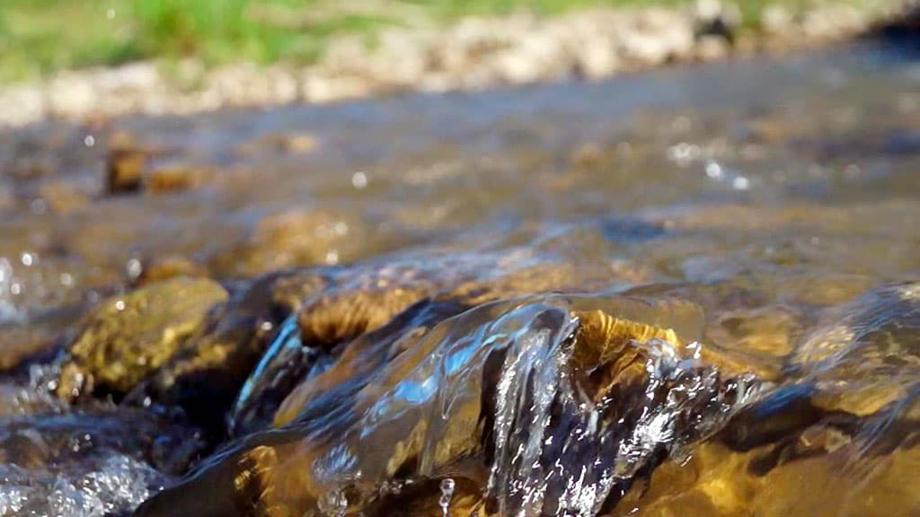 cross-border-murghab-river-is-under-the-supervision-of-specialists