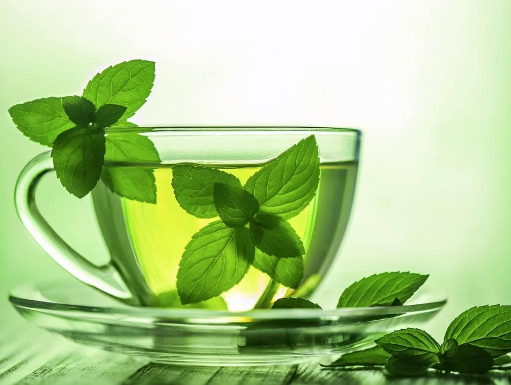 green-tea-in-the-fight-against-bacteria
