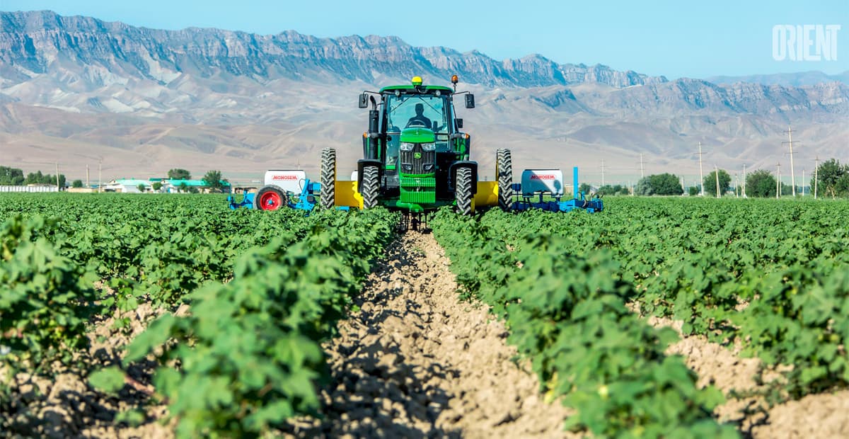 Turkmen agricultural manufacturers will be allocated the land plots for a period of 99 years from the special fund