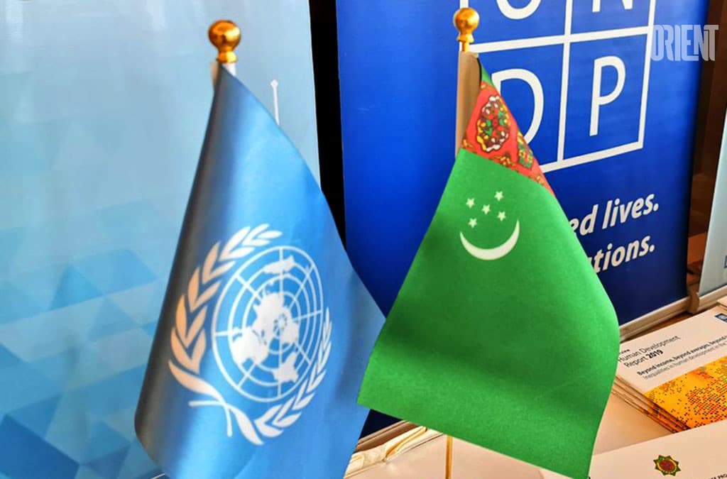 Turkmenistan and UNDP: the scope of cooperation is expanding