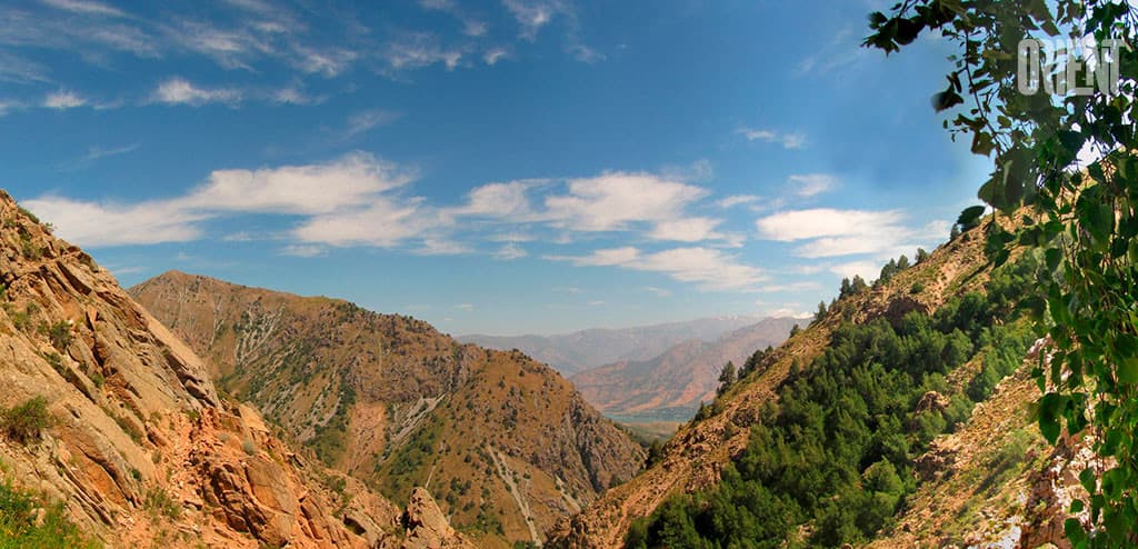 international-competition-has-been-announced-for-a-grant-biodiversity-hotspot-in-the-mountains-of-central-asia