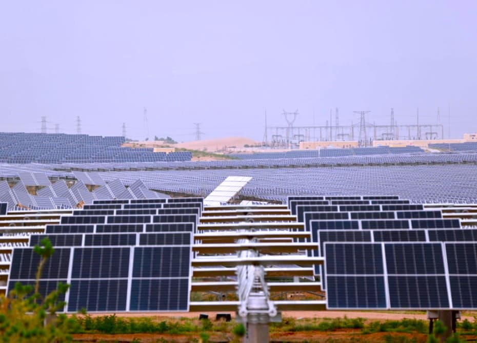 sebitleyin-ekologiya-merkezi-merkezi-aziyanyn-durnukly-geljege-gosandyny-belledi