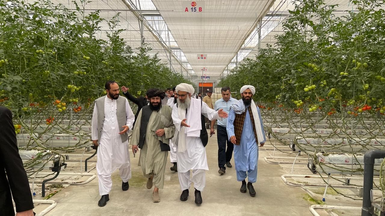 turkmenistan-afganistan-biznes-akcionernyye-kompanii