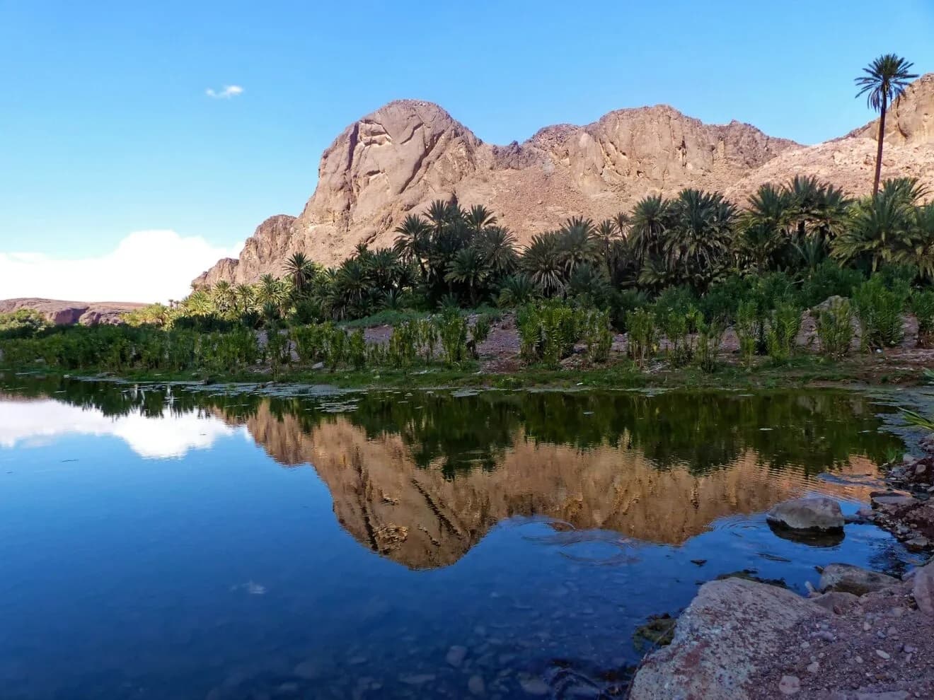 chinese-experience-desert-management-transforming-african-landscapes