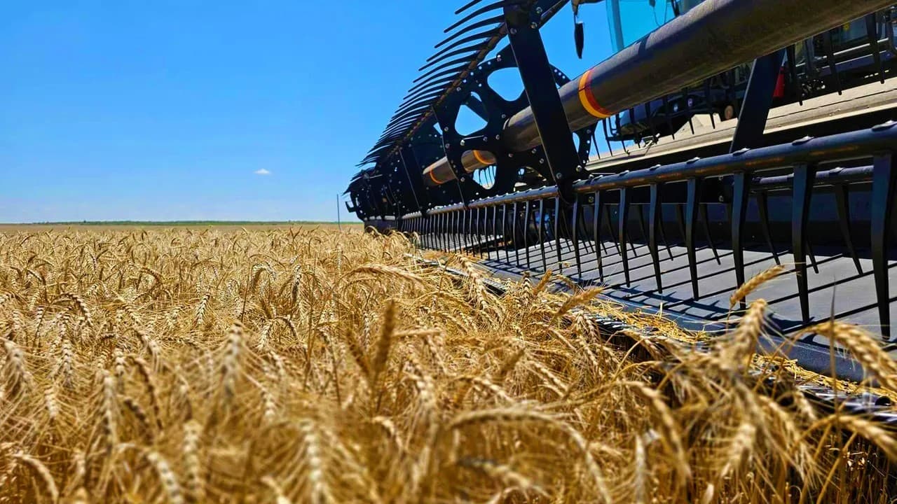 harvest-2025-turkmen-grain-growers-have-surpassed-million-ton-mark-grain