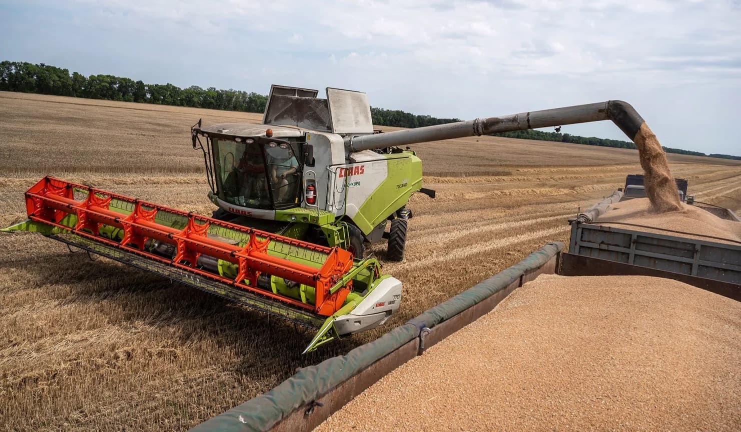 President Serdar Berdimuhamedov Outlined Key Tasks for the Agricultural Complex