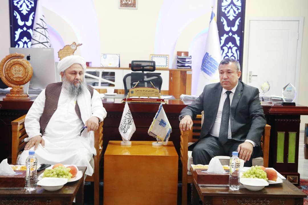 afganistan-gotovitsya-k-zapusku-vazhnyh-proektov-s-turkmenistanom