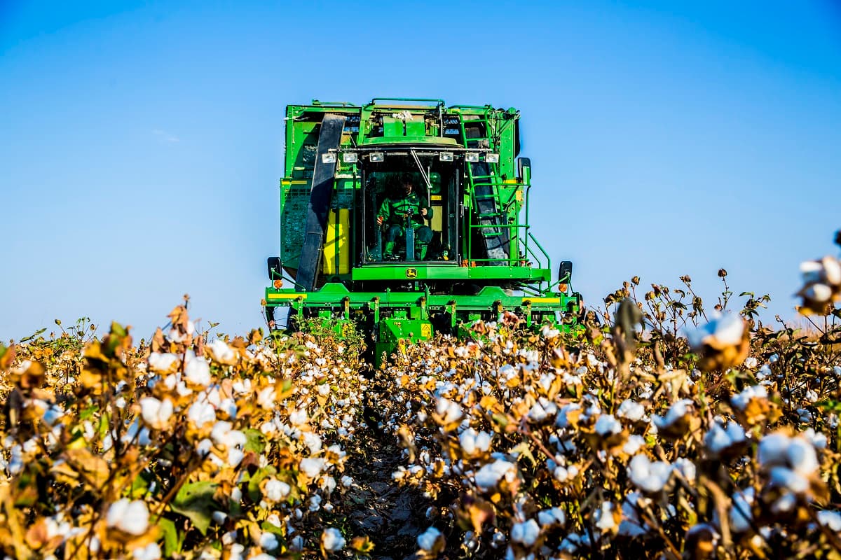 meydandan-fabrige-cenli-name-ucin-turkmenistanda-pagta-yygymy-yonekey-oba-hojalyk-caresi-dal