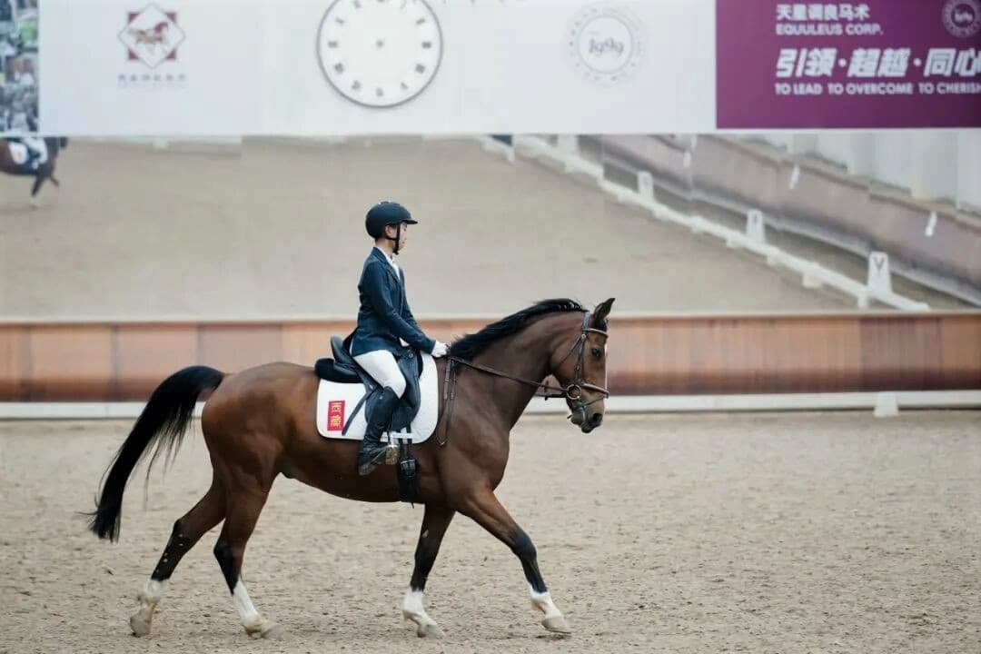 berdimuhamedov-visit-china-equuleus-akhal-teke