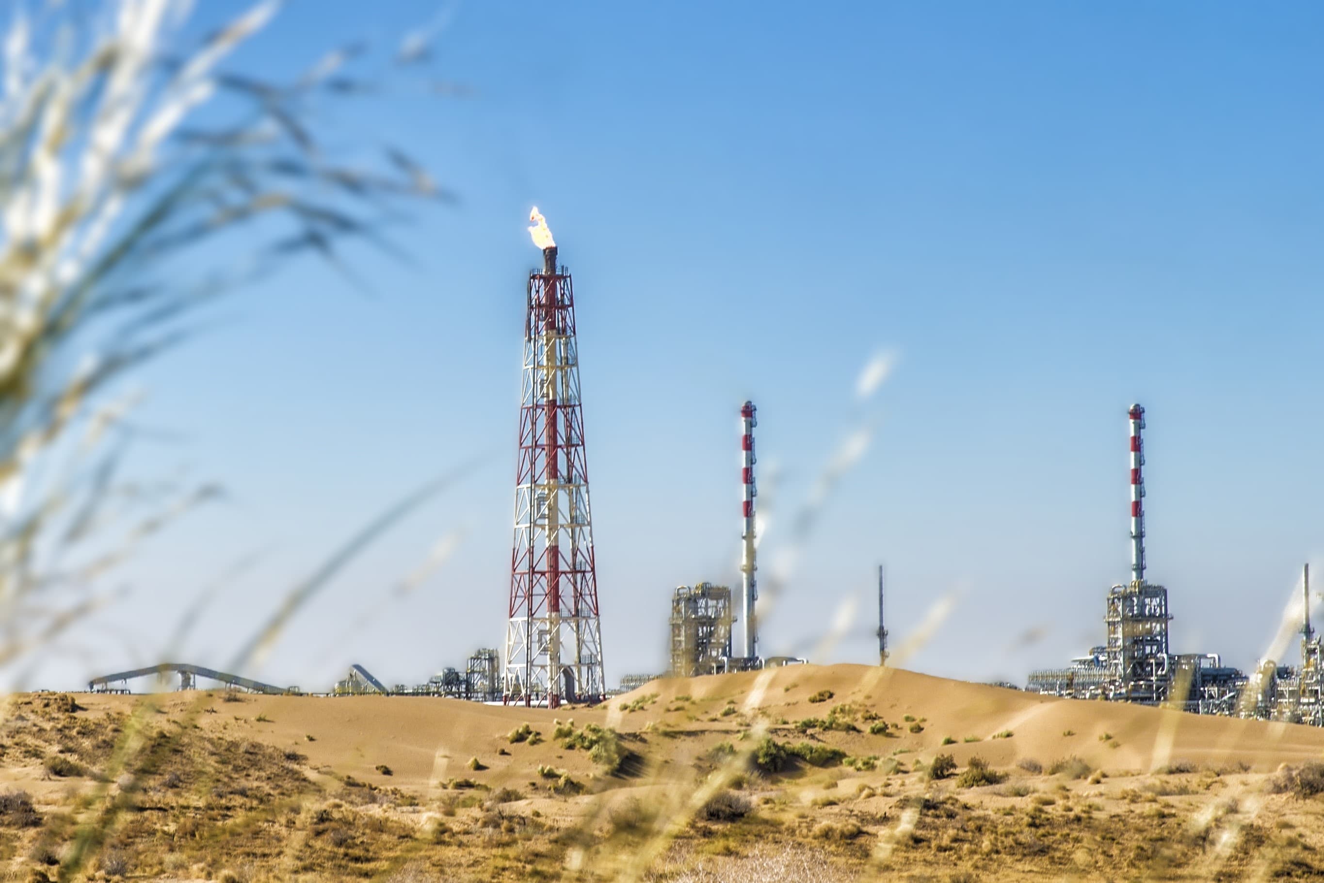 turkmengaz-i-adnoc-obsudili-sostoyanie-i-perspektivy-sotrudnichestva