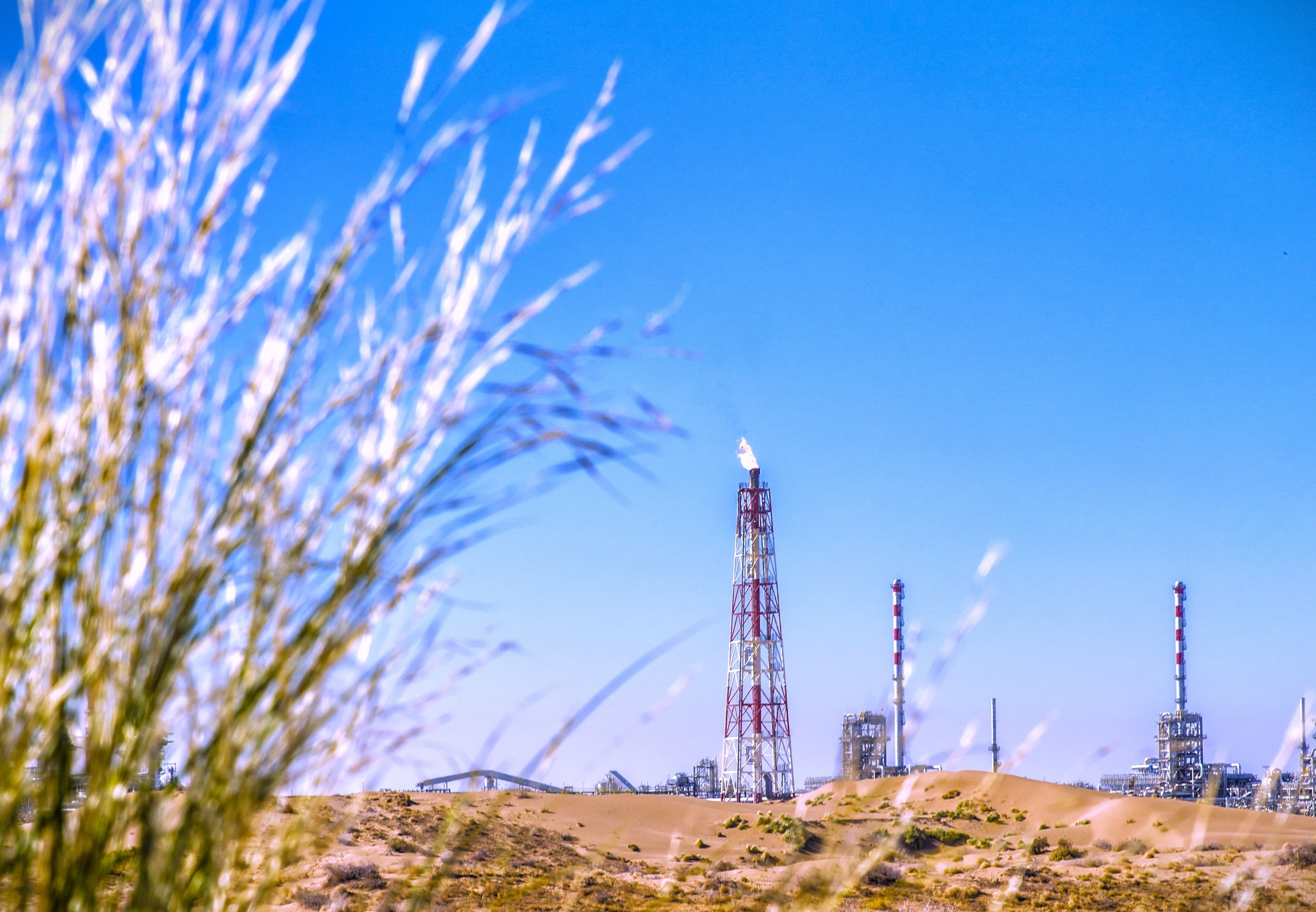 three-questions-and-answers-doctor-technical-sciences-about-galkynysh-field