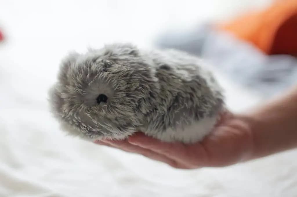 casio-predstavila-pushistogo-robota-kompanona-moflin-dlya-snyatiya-stressa