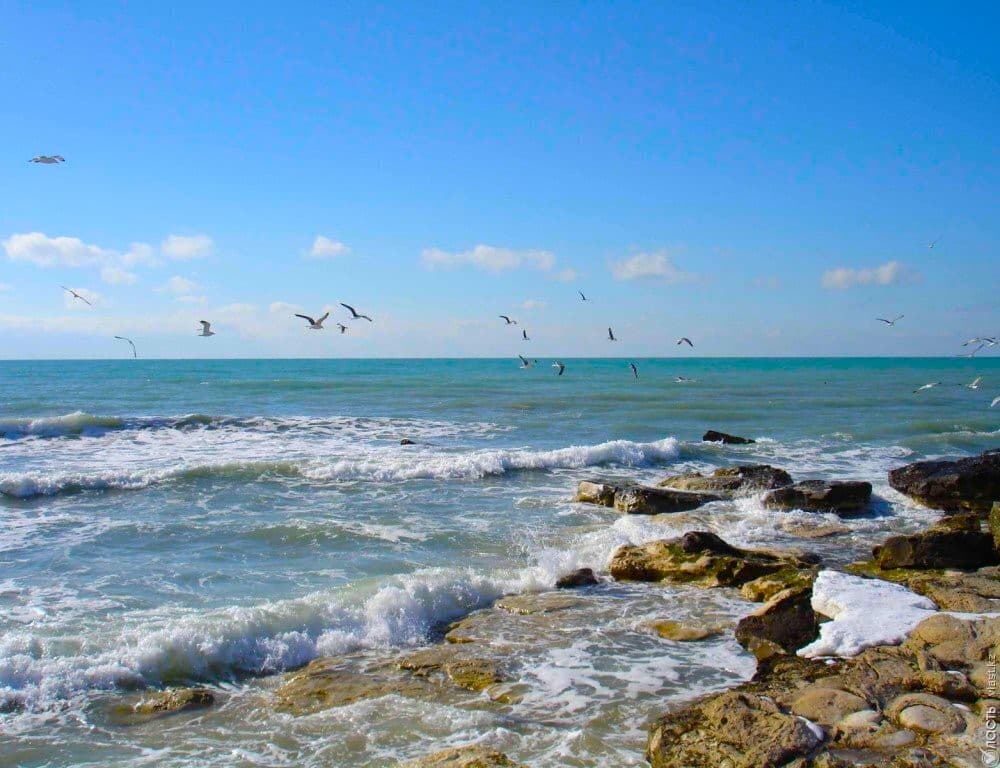 creation-international-platform-caspian-environmental-initiative-was-discussed-ashgabat