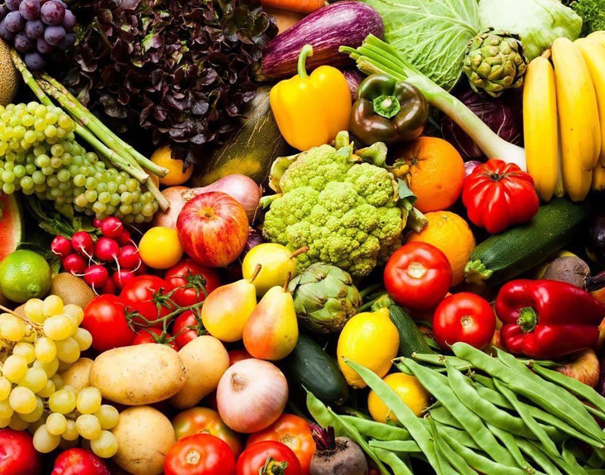 Частные хозяйства АПК Туркменистана нарастили производство сельхозпродукции