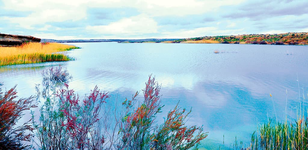 Вода-энергия-продовольствие – проект, важный для всей Центральной Азии