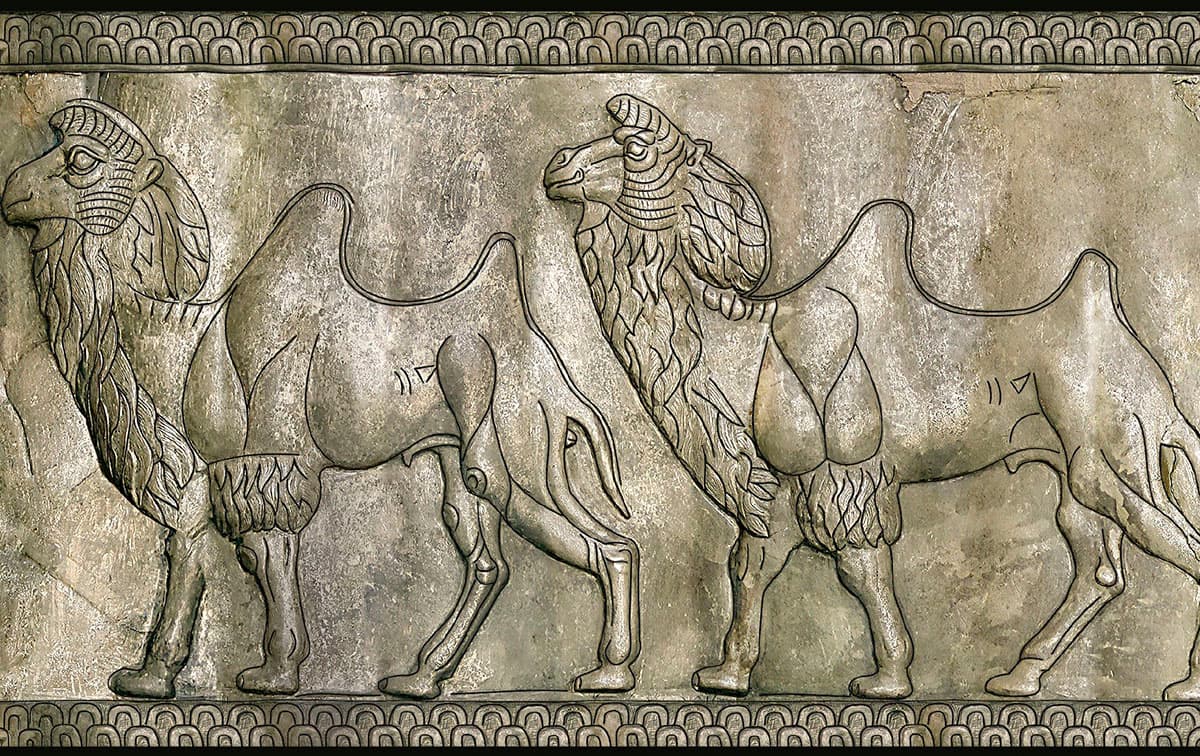 prezentaciya-novoj-knigi-o-drevnej-margiane-i-baktrii-sostoyalas-v-moskve