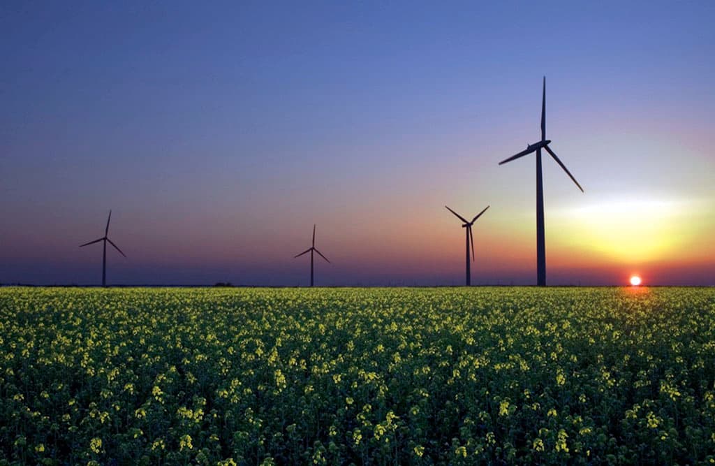 zelenaya-diplomatiya-kak-fenomen-mirovoj-politiki-turkmenskie-studenty-vklyuchayutsya-v-trend