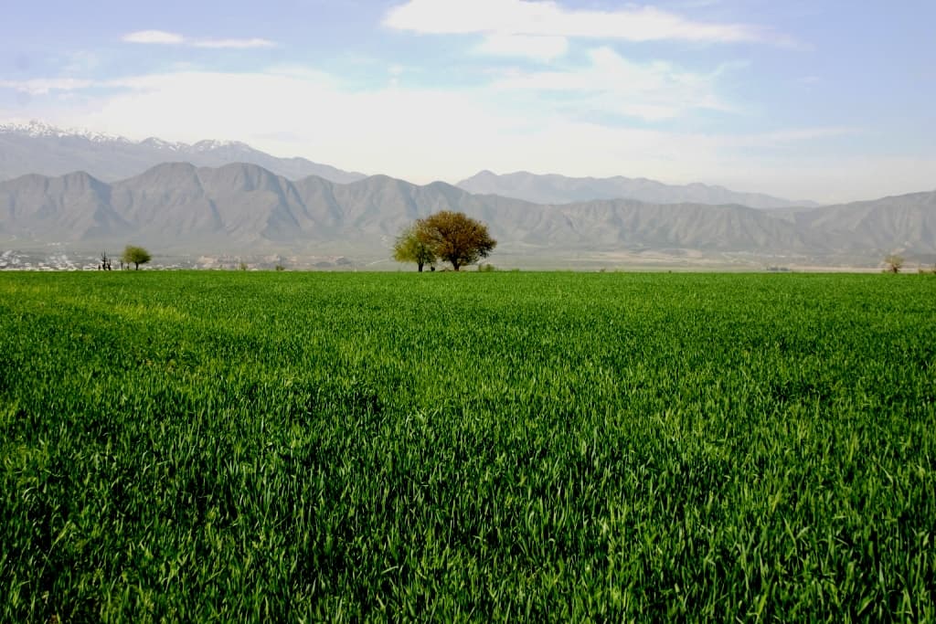 forum-po-ekologii-kaspiya-i-turkmenskij-apk-v-svete-7-mesyachnyh-itogov