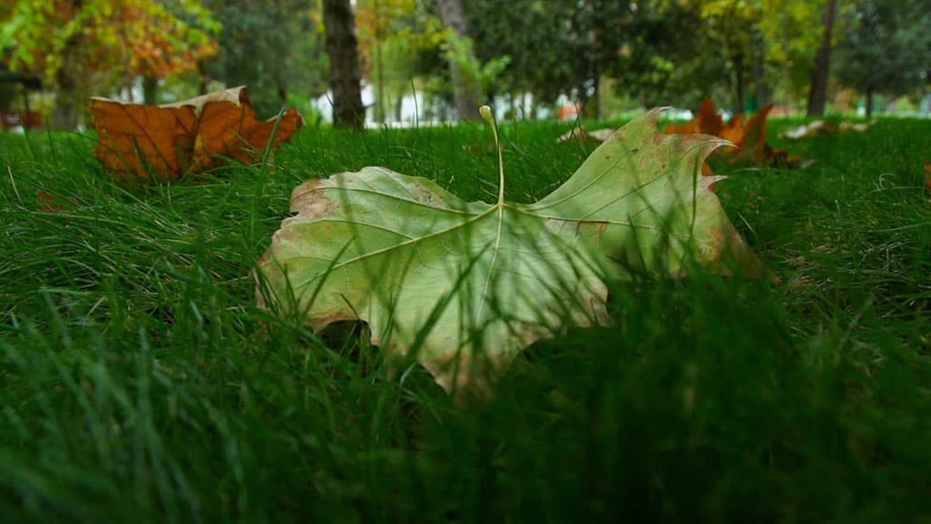 pogoda-v-turkmenistane-snova-gotovit-peremeny