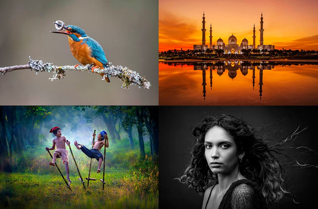 nachalsya-priem-rabot-na-ezhegodnyj-fotokonkurs-ferula-2021