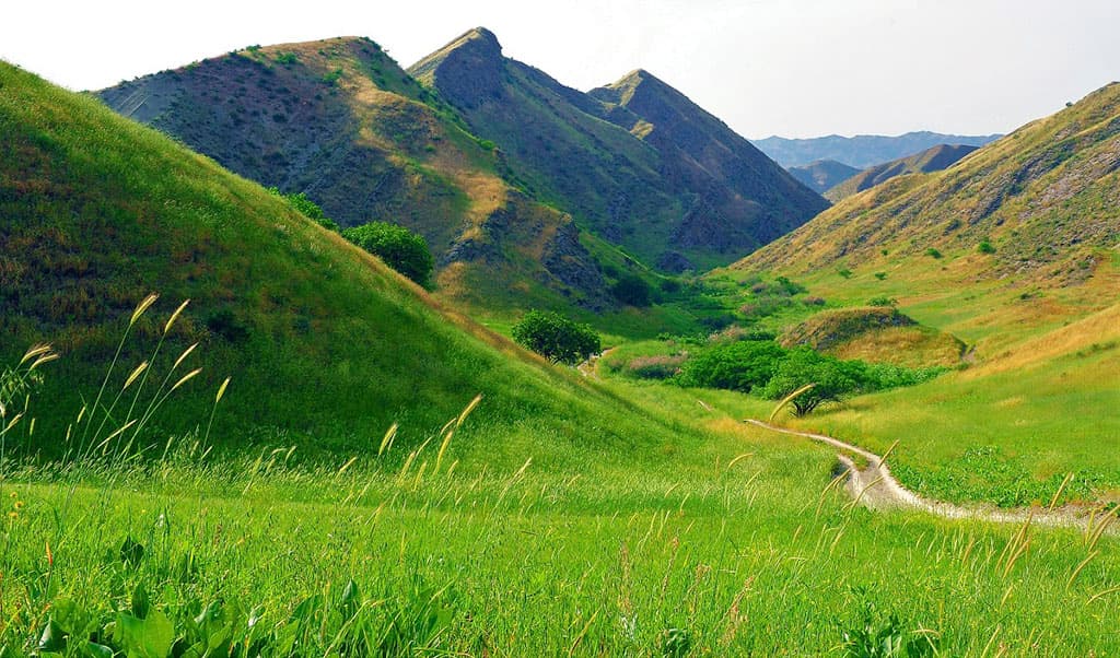 berdymuhamedov-ob-ekologicheskoj-politike-turkmenistana