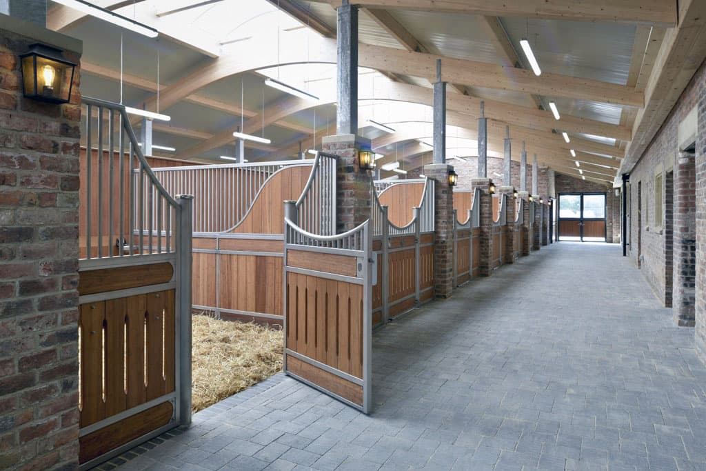 v-ahale-postroyat-konyushnyu-na-600-ahaltekinskih-konej