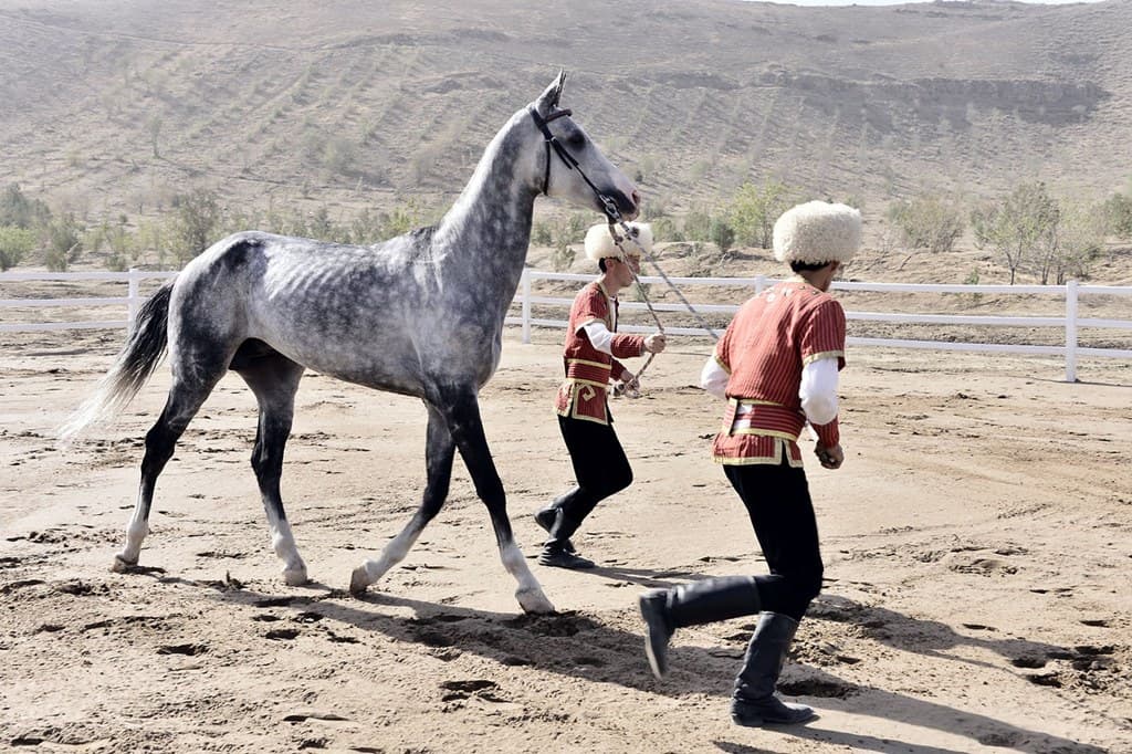 v-ahale-zalozhili-fundament-novoj-sovremennoj-konyushni
