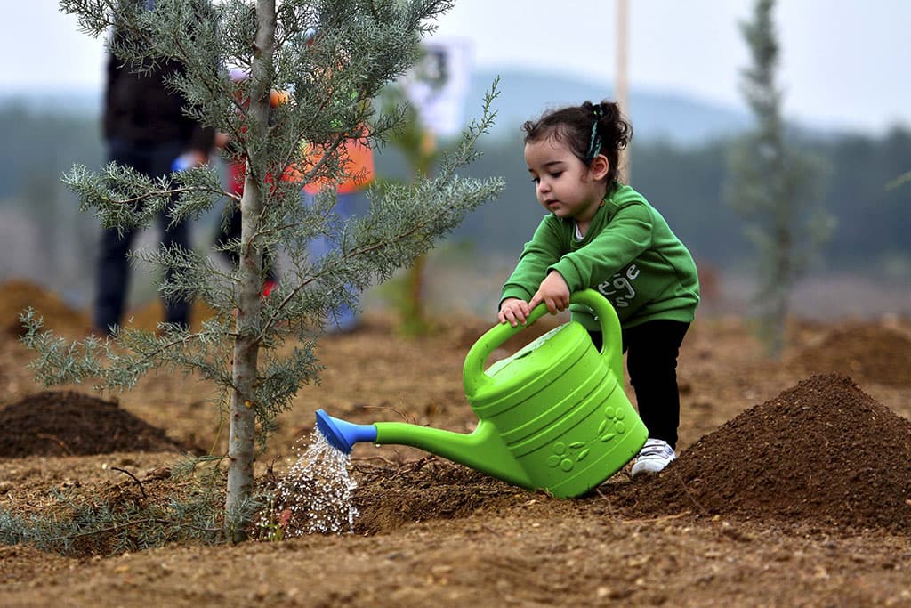 eshche-15-mln-derevev-vysadyat-v-turkmenistane-vsego-30-mln-v-2021-godu