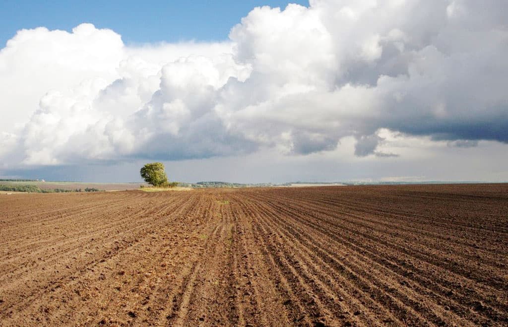 gosudarstvo-vydelit-bolee-300-tysyach-gektarov-zemli-arendatoram