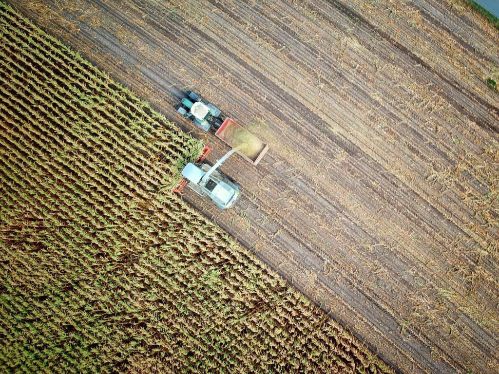 turkmenistan-poluchit-dostup-k-luchshim-tehnologiyam-dlya-razvitiya-selskogo-hozyajstva