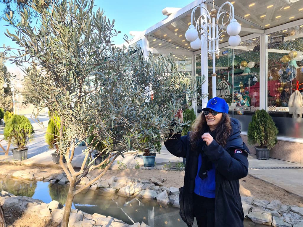 podari-drugu-derevo-i-ono-prineset-plody-dobra