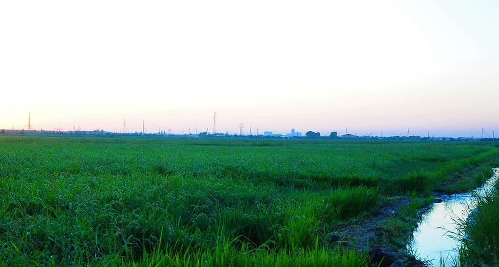 berdymuhamedov-raskritikoval-regionalnye-vlasti-za-apk-i-dorogi