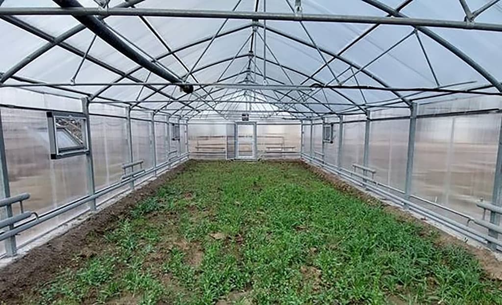 effektivnye-agrotehnologii-v-centralnyh-karakumah